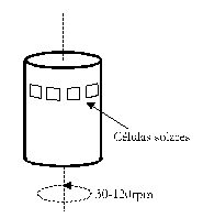 vdm028i10.gif (1937 bytes)